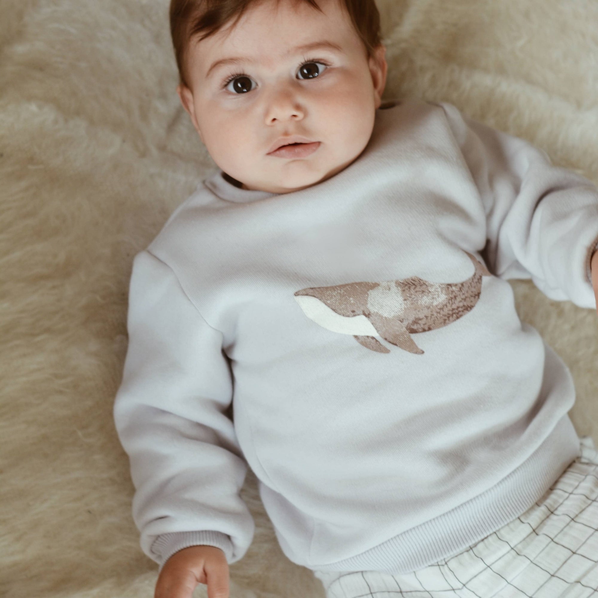 Eli & Nev Sweatshirt - Whale Print