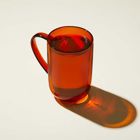 Double Walled Glass Nordic Mug with Infuser